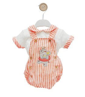 Conjunto peto elefante flotador