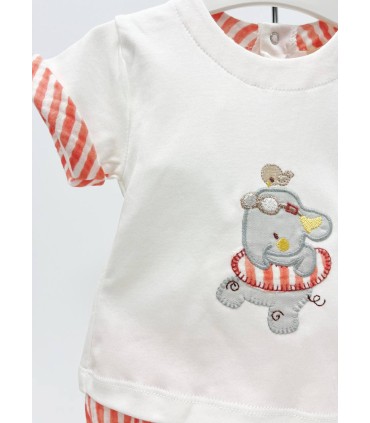 Conjunto elefante flotador