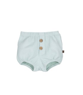 Pololo botones RODAS mint